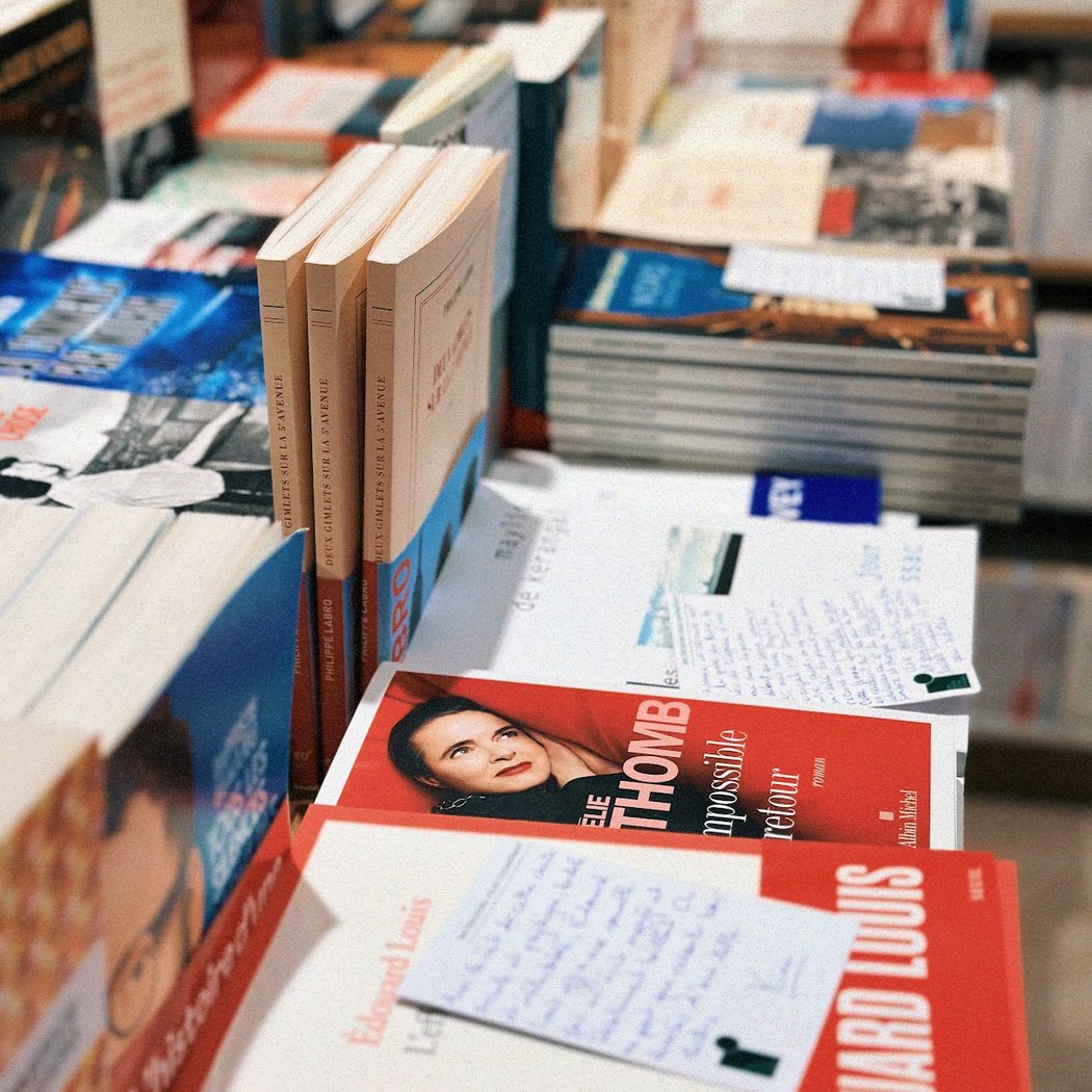 les mots et les choses nord 1
